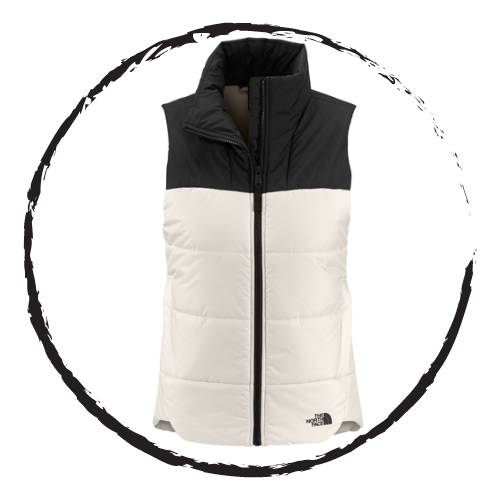 The North Face Vest 2 Color